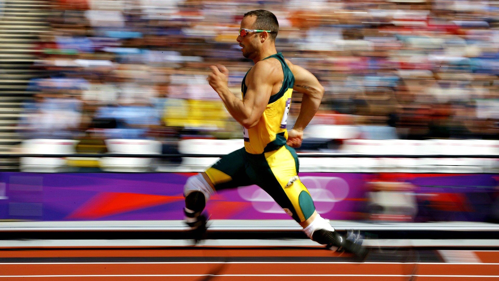 格林伍德的防守策略与球场智慧，让袋鼠队进攻更有保障，格林伍德球员